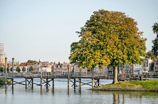 Energielabel Zwijndrecht - zwijndrecht